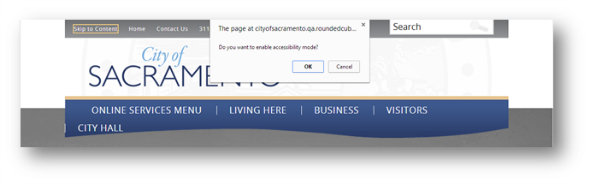 Website Accessibility